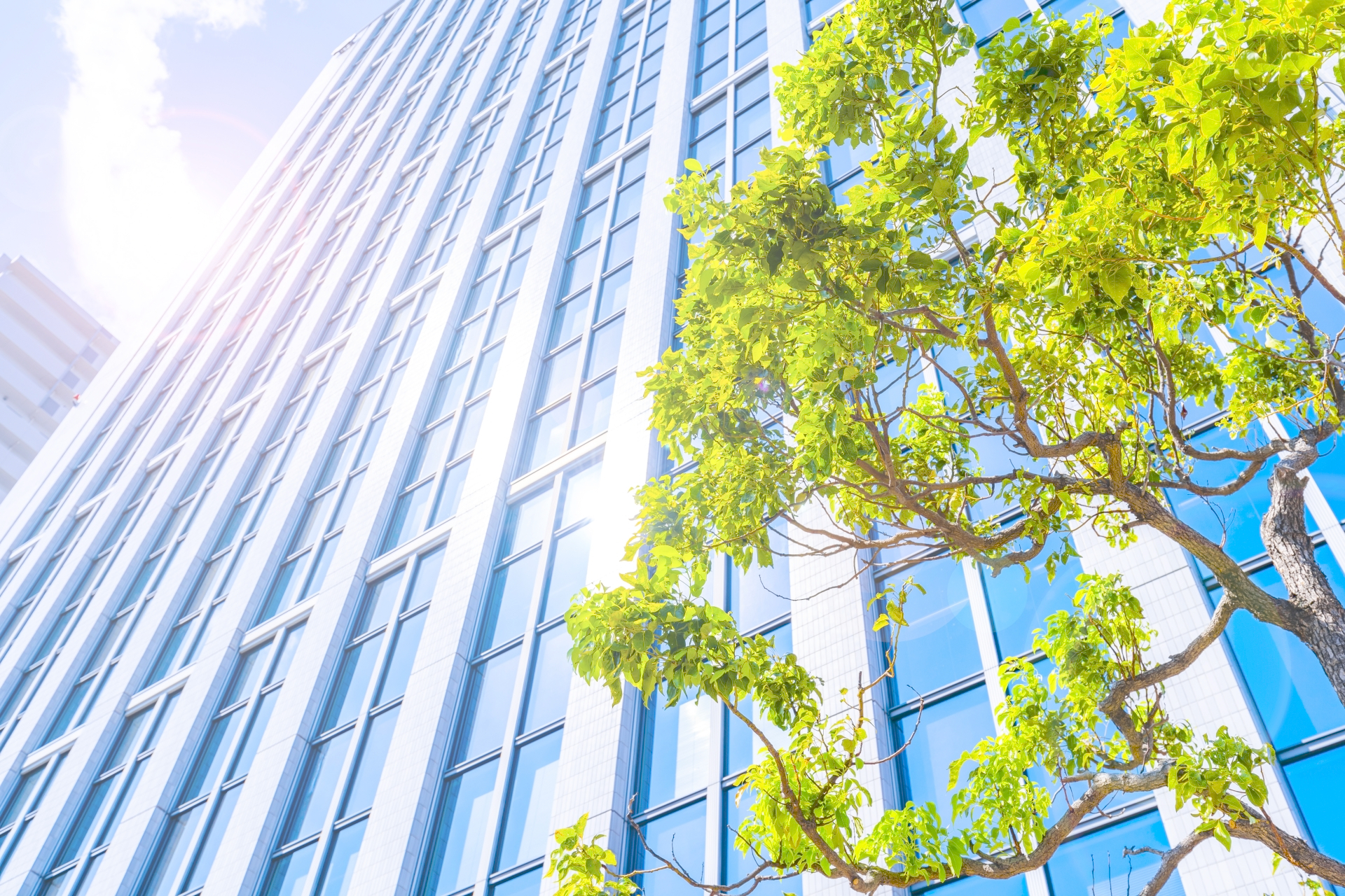 会社のイメージ