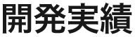 開発実績